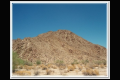 Impressionen 7 Joshua Tree (6).jpg